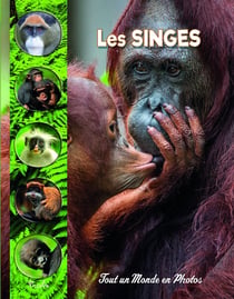 Tout un monde en photos : Les singes
