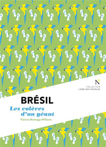 Brésil - les colères du géant