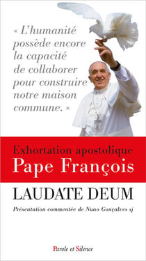 Laudato Deum commenté : Présentation commentée de Andreas Gonçalves Lind sj