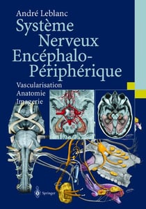 Système nerveux encéphalo-périphérique - vascularisation - anatomie - imagerie