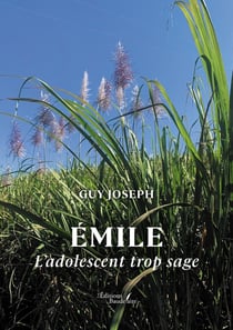 Émile : L'adolescent trop sage