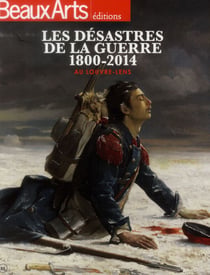 Desastres de la guerre 1800-2014 (les) - louvres lens