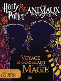 Harry Potter & les animaux fantastiques - voyage ensorcelant au coeur des films