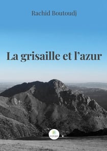 La grisaille et l'azur