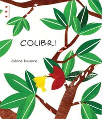 Colibri
