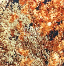 In the fall