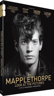 Mapplethorpe : Look at the Pictures