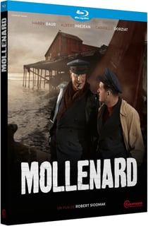 Mollenard