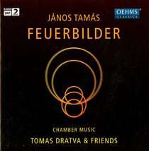 Feuerbilder