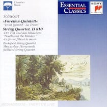 String Quartet D 810