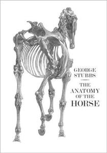 The anatomy of the horse