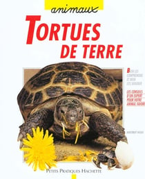 Les tortues de terre