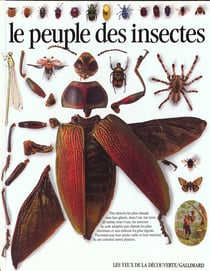 Le peuple des insectes