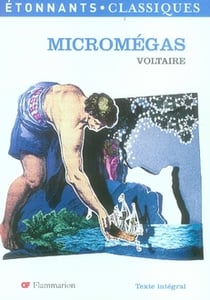 Micromegas