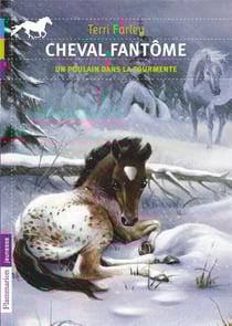 Cheval Fantome Tome 5 - Un Poulain Dans La Tourmente