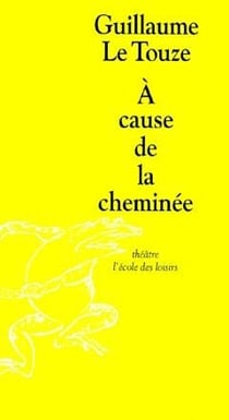 Cause de la cheminee (a)