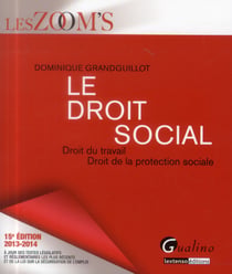 Droit social 2013-2014. droit du travail, droit de la protection sociale, 15eme edition (le)