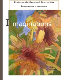 Imaginations