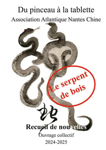 Le serpent de bois : Recueil de nouvelles chinoises