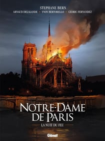 Notre-Dame de Paris - la nuit du feu