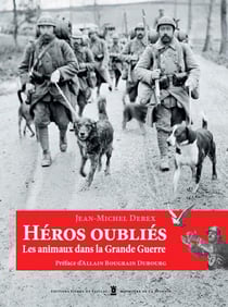 Héros oubliés - 14-18: les animaux dans la grande guerre