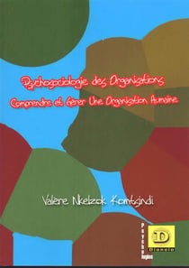 Psychosociologie des organisations - comprendre et gérer une organisation humaine