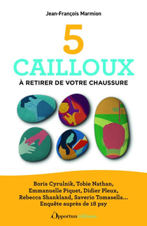 5 cailloux à retirer de votre chaussure