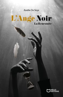 L'Ange Noir Tome 1 : La Rencontre