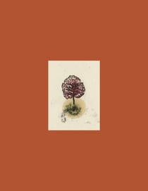 Coffret ARBRES