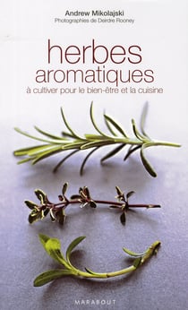 Herbes aromatiques à cultiver pour le bien-être et la cuisine