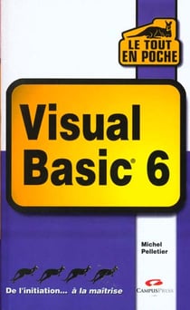 Tout en poche visual basic 6