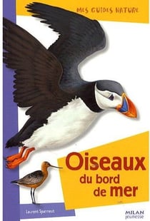 Oiseaux du bord de mer