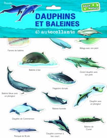 Dauphins et baleines - 65 autocollants
