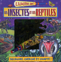 Lumiere sur/les insectes et les reptiles