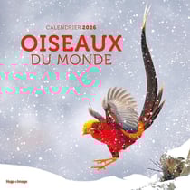 Calendrier mural : Oiseaux du monde (édition 2026)