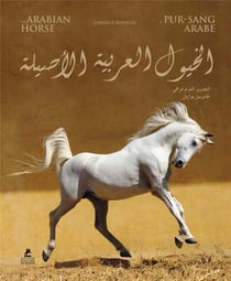 The Arabian horse
