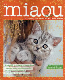 Miaou n.19