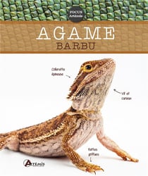 L'agame barbu