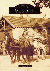 Vesoul Tome 1