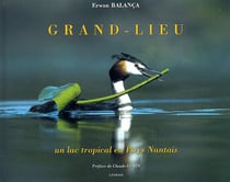 Grand-lieu un lac tropical en pays nantais