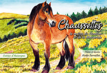 Chaussettes, le maître du Cézallier et de la margeride
