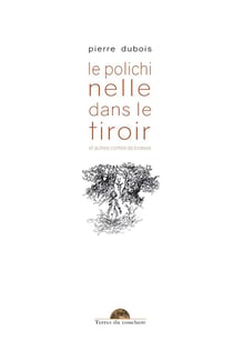 Le polichinelle dans le tiroir : et autres contes de bosses