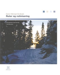 Ruter og rutinisering : vikingetidens fjernhandel i nordeuropa