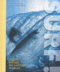 Surf ! la quête mystique des chasseurs de vagues
