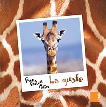 PEAU, POILS ET PATTES : la girafe