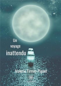 Un voyage inattendu