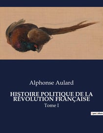 HISTOIRE POLITIQUE DE LA RÉVOLUTION FRANÇAISE : Une analyse approfondie de l'évolution politique durant la transition française