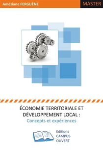 Économie territoriale et développement local : concepts et experiénces