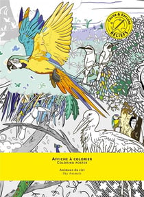 Animaux du ciel - affiche à colorier