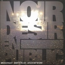 Noir Désir en public